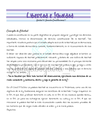 Unidad-6-Consti-1.pdf