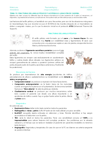 TRAU-TEMA-19.pdf