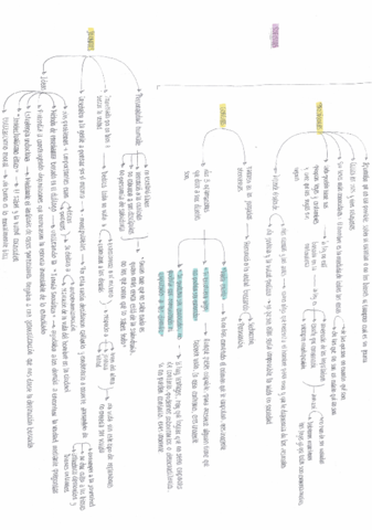T-1-esquema-sofistas.pdf