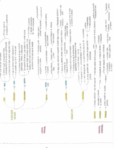 T-1-Esquema-presocraticos.pdf