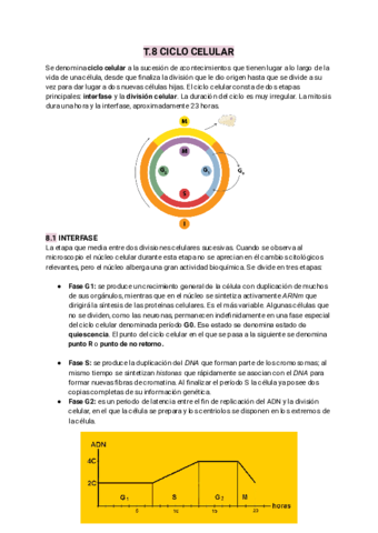 T.8 CICLO CELULAR