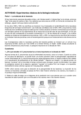 Caso-de-estudio-I.pdf