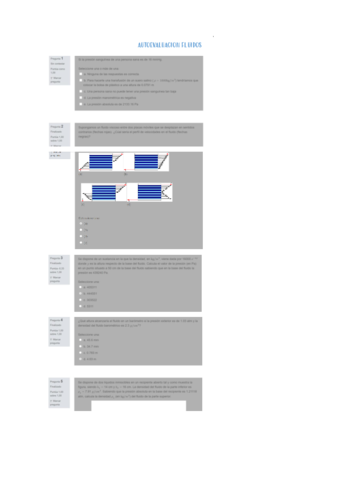 AUTOEVALUACION-FLUIDOS.pdf