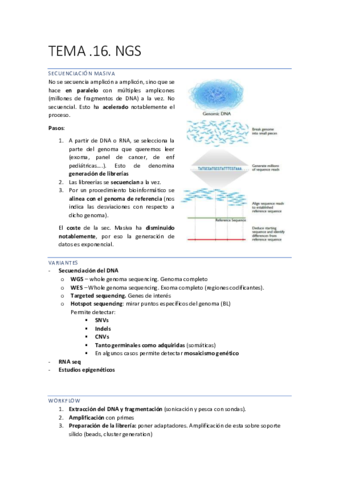 DIAGNOSTICO-91-99.pdf