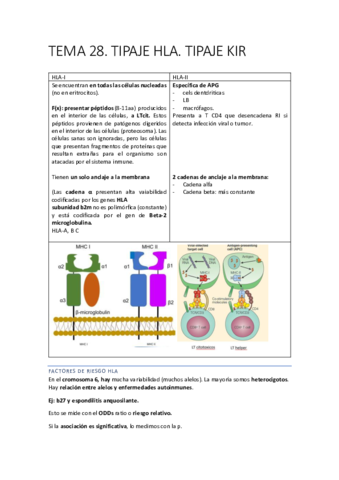 DIAGNOSTICO-173-178.pdf