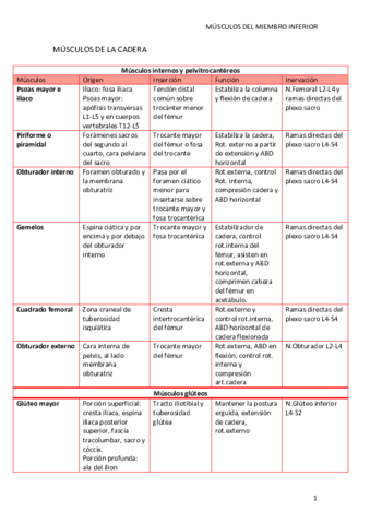 MUSCULOS-DEL-MIEMBRO-INFERIOR.pdf