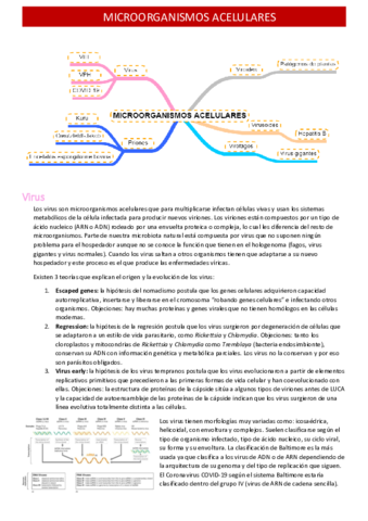 microorganismos-acelulares.pdf