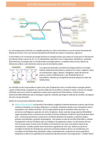 microorganismos-fotosinteticos.pdf