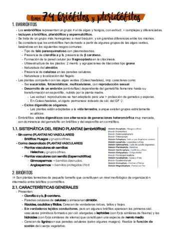 Tema-7-4.pdf
