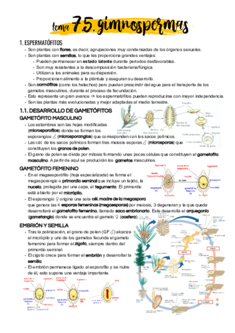 Tema-7-5.pdf