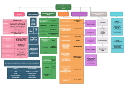 MAPA-CONCEPTUAL-PVG-T1.pdf