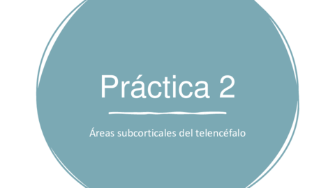Practica-2-Areas-subcorticales-del-telencefalo.pdf