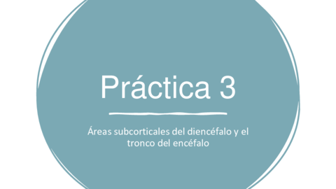 Practica-3-Areas-subcorticales-del-diencefalo-y-el-tronco-del-encefalo.pdf
