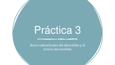 Practica-3-Areas-subcorticales-del-diencefalo-y-el-tronco-del-encefalo.pdf