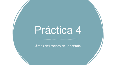 Practica-4-Areas-del-tronco-del-encefalo.pdf