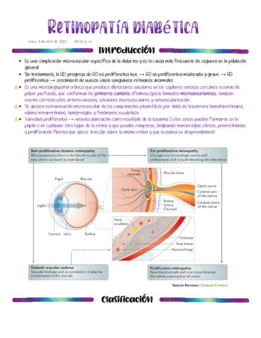 1FER-Retinopatia-diabetica.pdf