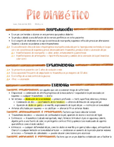 1FER-Pie-diabetico.pdf