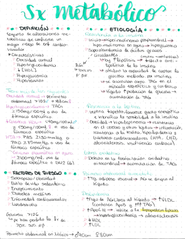 1FER-Sindrome-metabolico.pdf