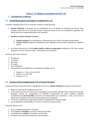 Dret-de-la-UE-Teoria-PDF.pdf