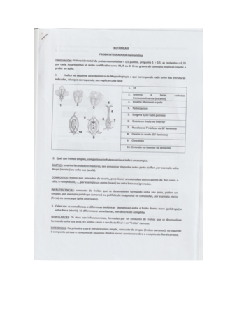 Bot-II-Visu-y-Prueba-integradora.pdf