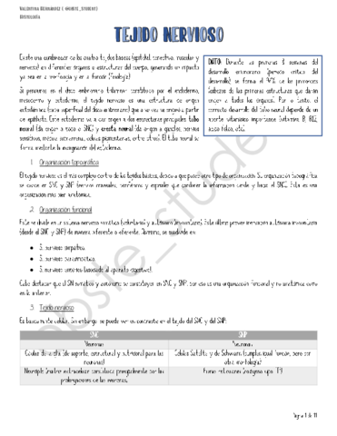 Apunte-Tejido-nervioso.pdf