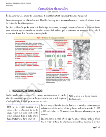 Apuntes-complejos-de-union.pdf