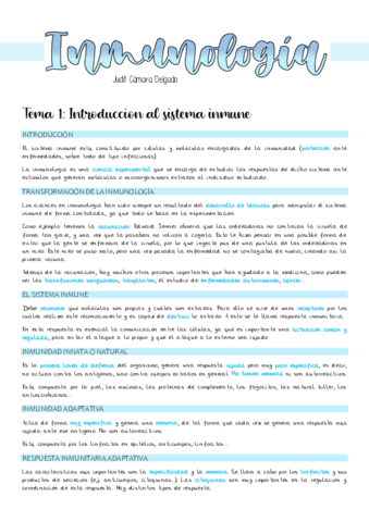 Apuntescompletos.pdf