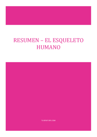 2RESUMEN-EL-ESQUELETO-HUMANO.pdf