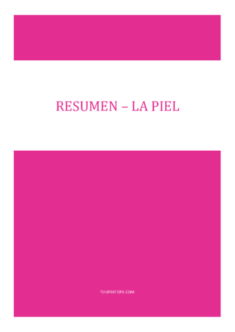 8RESUMEN-LA-PIEL.pdf