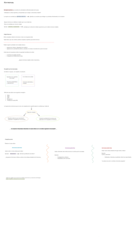 Hormonas-.pdf