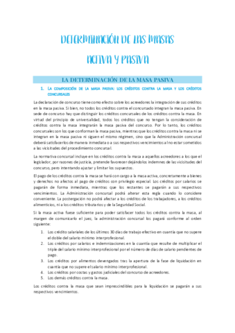 DETERMINACION-DE-LAS-MASAS-ACTIVA-Y-PASIVA.pdf