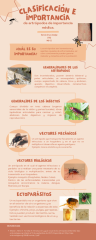 Garcia-Cruz-Joselyn-Organizador-grafico-semana-2.pdf