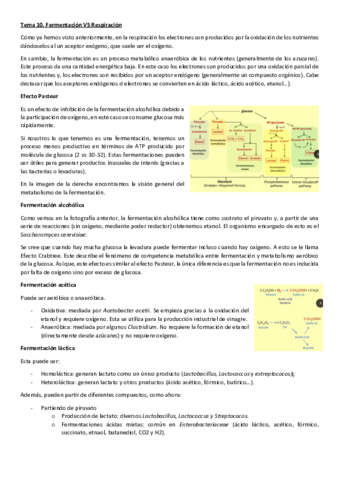 BQ-Pll.pdf