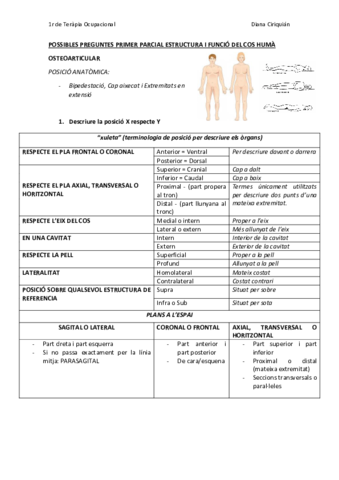 PREPARACIO-PRIMER-PARCIAL-DEFINITIU.pdf