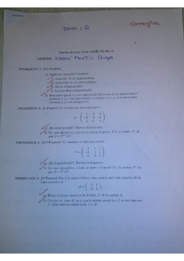 Examen AL Temas 6  2014 (Resuelto).pdf