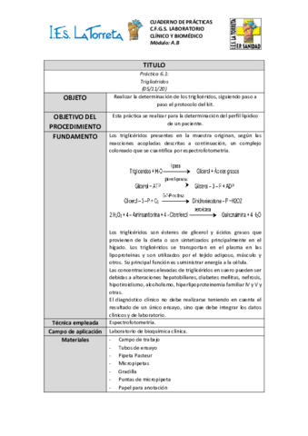 P6-Perfil-lipidico.pdf