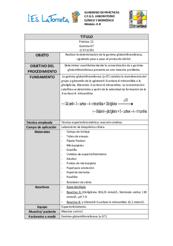 P12-Gamma-GT.pdf