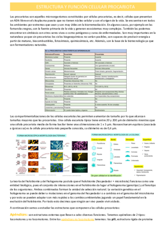 estructura-y-funcion-celular-procariota.pdf