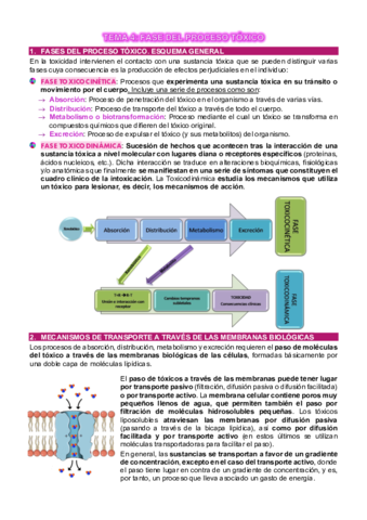 TEMA-4-TOXICOLOGIA.pdf