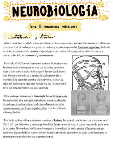 Tema-15-Funciones-superiores.pdf