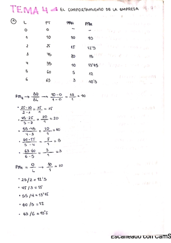 EJERCICIOSRESUELTOSTEMA4ECONOMIA.pdf