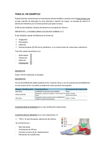 TEMA-33.pdf