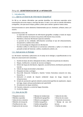 T11y12. Georreferenciación.pdf