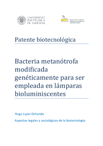 PatenteHugoLujan-1.pdf