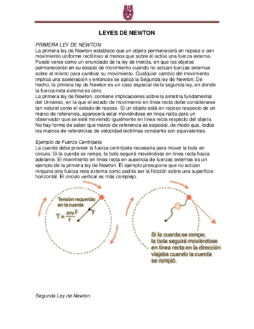LEYES-DE-NEWTON-.pdf