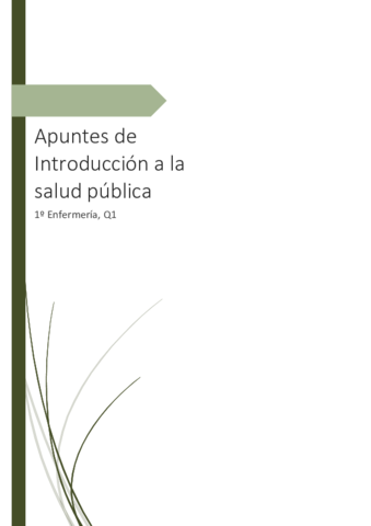 Introduccion-a-la-salud-publica-1o-Enfermeria-W.pdf