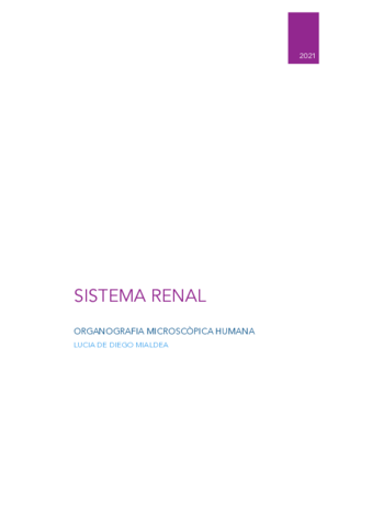SISTEMA-RENAL.pdf