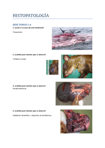 HISTOPATOLOGIA-QUIZ.pdf
