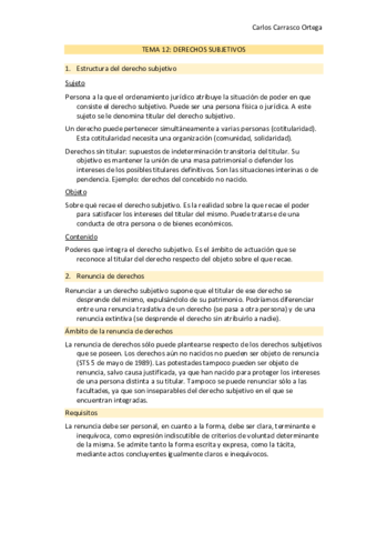 TEMA-12-CIVIL.pdf