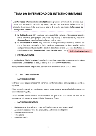 TEMA-19-ENF-INTESTINO-IRRITABLE.pdf